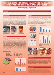 IUGA_2013_Bizjak-Ogrinc_poster_Cystoceles1